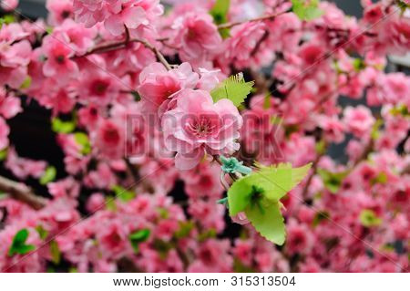 Artificial Sakura Flowers For Decorating Japanese Style. Spring Blossom. Image Has Shallow Depth Of 