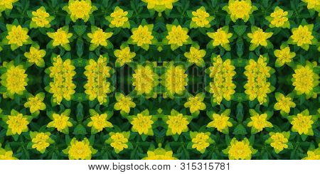 Floral Seamless Pattern. Banner. Abstract Floral Background, Ornament. Bright Yellow Flowers Texture