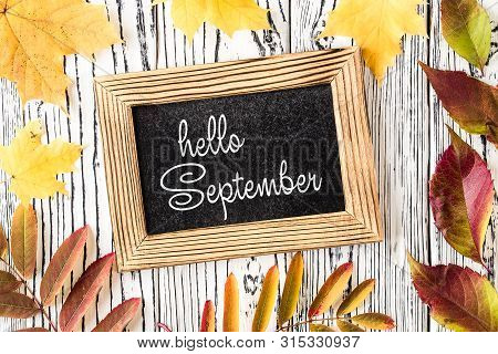 Hello September Lettering Card. Concept Of The Fall Season