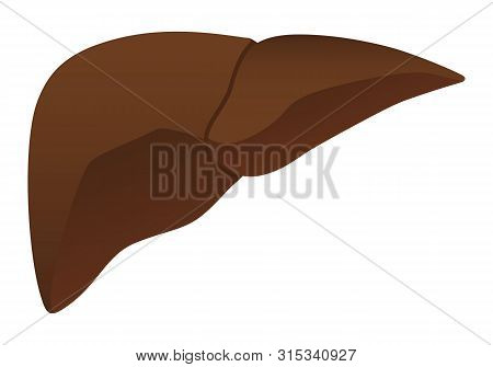 Human Internal Organs: Liver. Vector Image. Flat Design