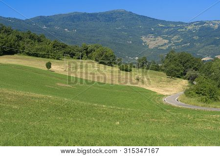 Springtime Landscape Along The Road From Bettola To Prato Barbieri, Piacenza, Emilia-romagna, Italy