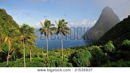 St. Lucia Piton