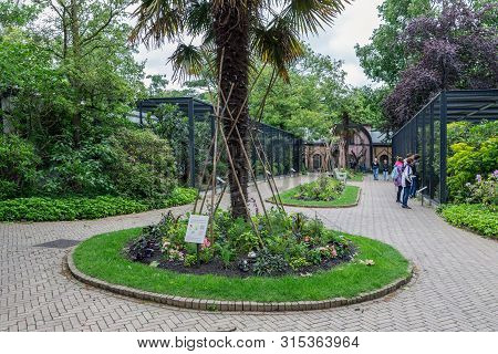 Amsterdam, The Netherlands - June 08, 2019: Visitors In Artis Zoo Amsterdam Looking To The Bird Sanc