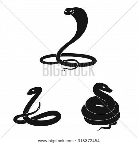 Vector Design Of Nature And Medicine Icon. Collection Of Nature And Evil Vector Icon For Stock.