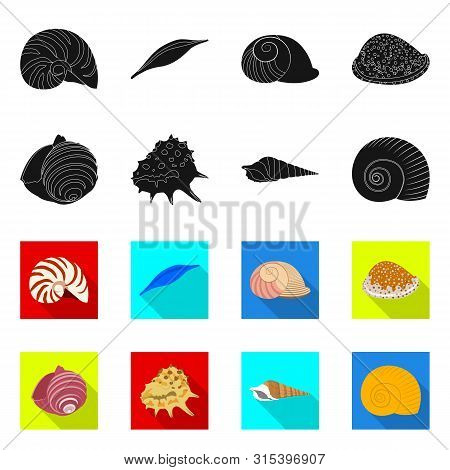Vector Illustration Of Animal And Decoration Icon. Set Of Animal And Ocean Vector Icon For Stock.