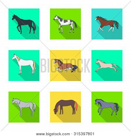 Vector Illustration Of Breed And Equestrian Sign. Collection Of Breed And Mare Stock Vector Illustra