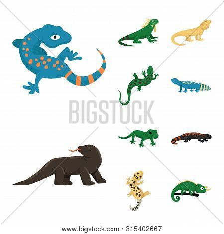 Vector Design Of Animal And Reptile Logo. Collection Of Animal And Nature Stock Symbol For Web.