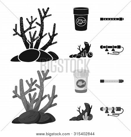 Vector Illustration Of Natural And Hobby Symbol. Collection Of Natural And Interior Stock Symbol For