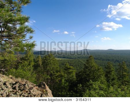 Treetop anzeigen