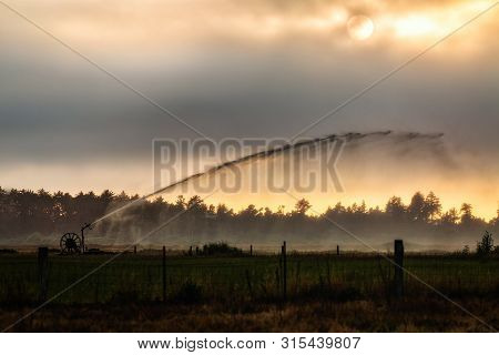 A Sprinkler In A Pasture Watering Crops On A Farm In Arcata, California