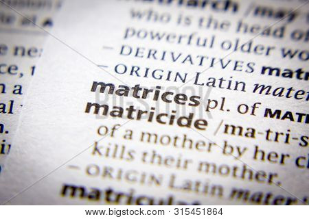 Word Or Phrase Matrices In A Dictionary