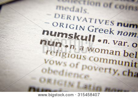 Word Or Phrase Numskull In A Dictionary