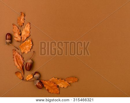Top View Of Acorns And Oak Leaves On Dark Brown Background. Simple, Rustic Country Style Fall Or Tha