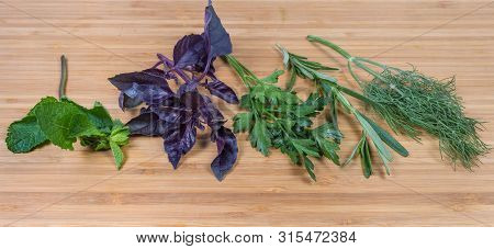 Single Stems Of Fresh Purple Basil, Dill, Rosemary, Parsley And Mint On The Bamboo Cutting Board, Pa