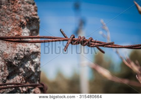 Barbed Rusty Wire In Macro On Background Of Blue Sky And Pilar. Photo With Bokeh.