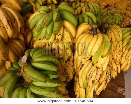 Banana Bundles