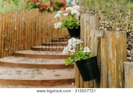 Stairs And Flower Pots Hanging On Wooden Fence. Vintage Rustic House Entrance. Variuos Blooming Pott
