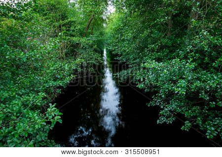 Peaceful And Tranquil Stream With Dark Water In A Forest Glade And Surrounding Green Leaf Trees.