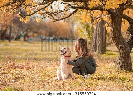 Portrait of a curly young woman hugging her golden retriever dog in the autumn park. yellow leaves background