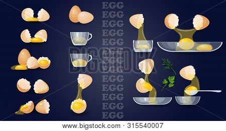 Eggs, Yolks, Albumen, Eggshells, Glass Bowls. Vector Set.