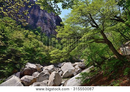Diamond Mountains. Dprk. Mt.kumgang Trekking Route. Amazing Scenery. Korean Maple Over The Mountain 