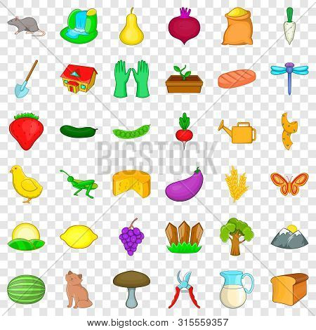 Region Icons Set. Cartoon Style Of 36 Region Icons For Web For Any Design