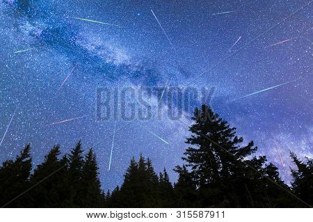 A View Of The Stars Of The Blue Milky Way With Pine Trees Forest Silhouette In The Foreground. Night