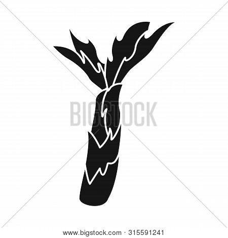Vector Illustration Of Palm And Forest Symbol. Set Of Palm And Green Vector Icon For Stock.