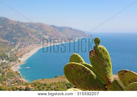 Beautiful Landscape Panorama Of Sicily Coastline With Focus On The Cactus. Blue Mediterranean Sea An