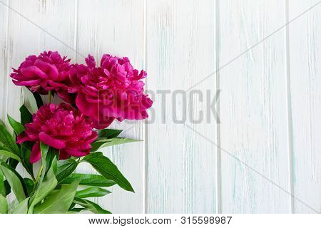 Ckground With Peonies. Pink And Burgundy Peonies On A White Wooden Background With Space For Copywri