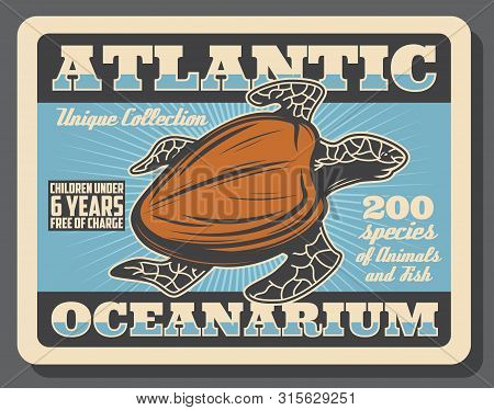 Sea Turtle, Underwater Ocean Animal Retro Poster Of Atlantic Oceanarium Promo Design. Pacific Green 