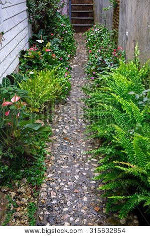 Relax And Fresh Beautiul Walkpath In The Garden After Rain.