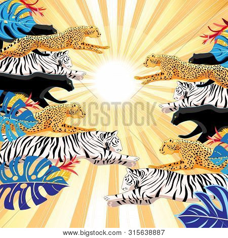 Llustration Jungle Pattern Of Panthers, Leopards And Tigers On A Background With The Sun. An Example