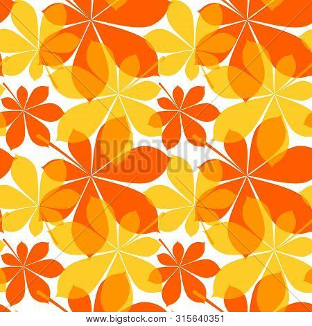 Seamless Pattern With Yellow And Orange Chestnut Leaves In Flat Style. Vector Illustration On White 