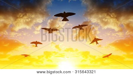 Silhouette flock of birds flying in V-formation at sunset.
