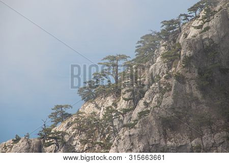 Ai-petri Mountain In The Fog. High Mountain. Crimea. Russian Mountains. Low Clouds. Beautiful Mounta