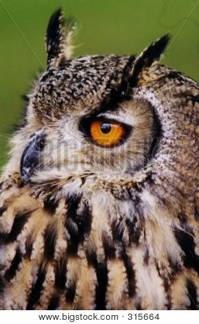 Evropská výr