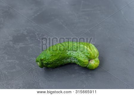 Trendy Ugly Organic Cucumder On A Gray Dark Background, Horizontal Orientation