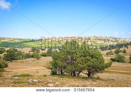 Ai-petri Mountain In The Fog. High Mountain. Crimea. Russian Mountains. Low Clouds. Beautiful Mounta