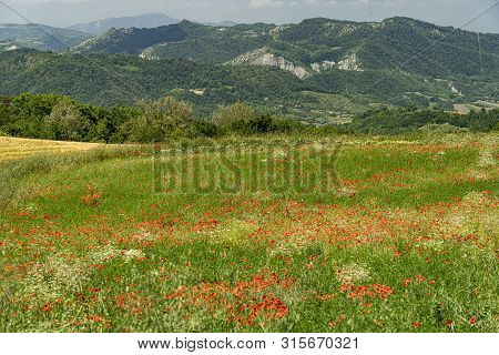 Passo Del Penice, Pavia, Lombardy, Italy: Mountaain Landscape At Late Spring (june)