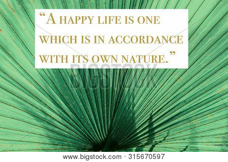 Wise quote by ancient Roman stoic philosopher Seneca against nature background