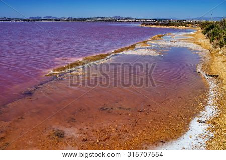 Laguna Salada In Torrevieja, Spain. Pink Salted Lake. Salinas Natural Park.