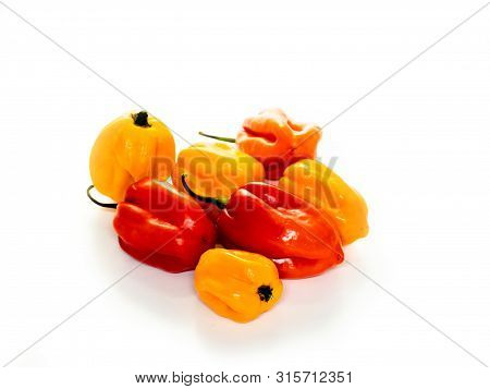 Habanero Pepper Small Hot Pepper On White Background.