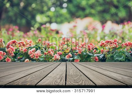 Mock Up Perspective Empty Top Wooden Board With Numerous Bright Flowers Of Tuberous Begonias (begoni