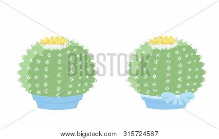 Two Isolated Cactus On White Background. Cute Succulent In A Pot And On Pebbles. Vector Illustration