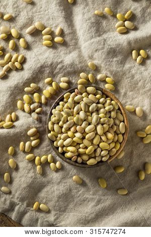 Dry Organic Yellow Mayocoba Beans