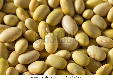 Dry Organic Yellow Mayocoba Beans