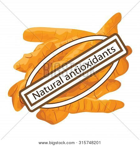 Natural Antioxidant Turmeric Spice Vector Illustration On A White Background