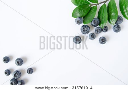 Isolated Blueberry On White Background  With Green Lists