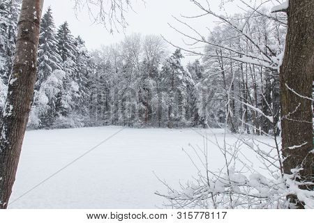 Bavarian Winter Landscape Next Next To Schwandorf, Charlottenhofer Weihergebiet